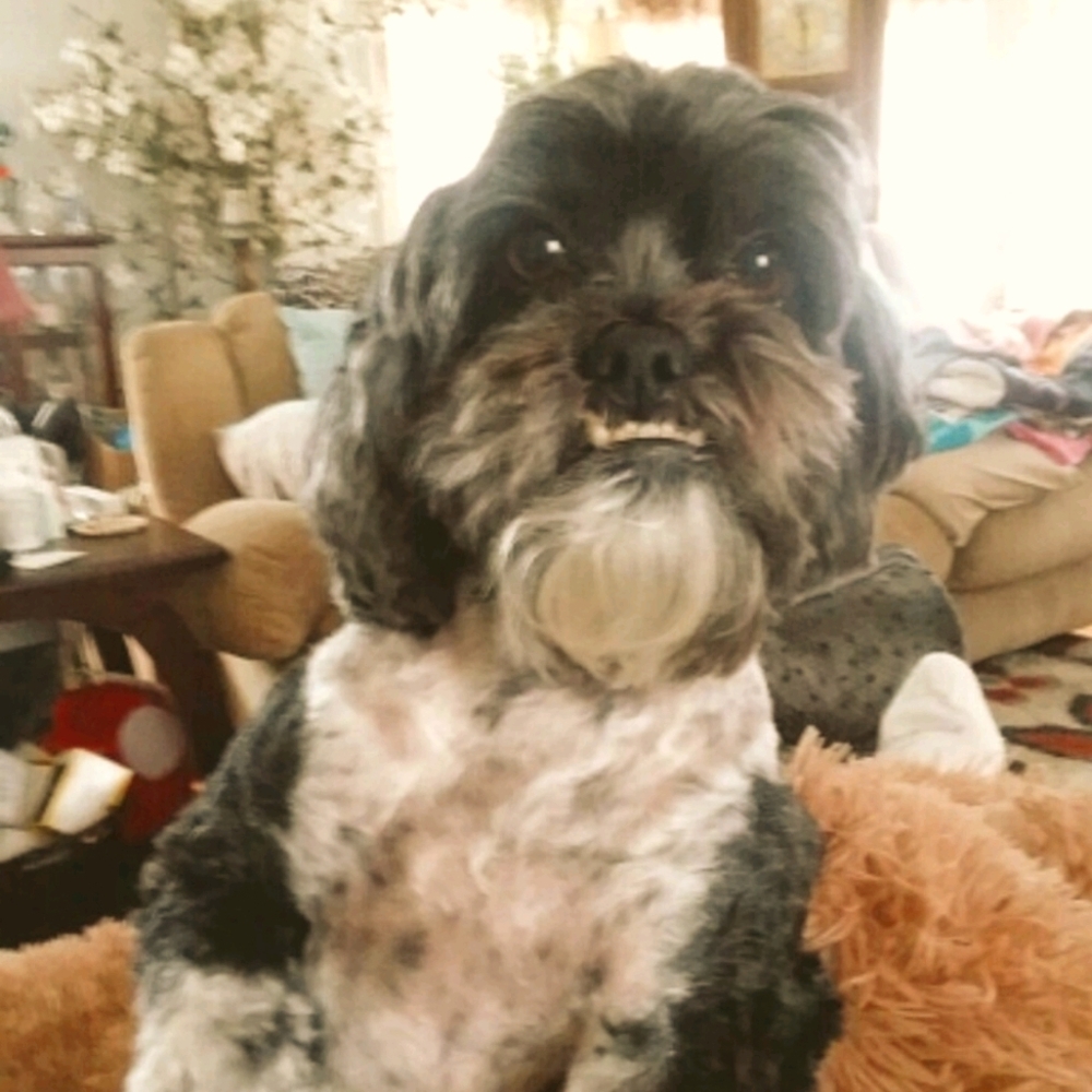 Meet your Posher, Andrea